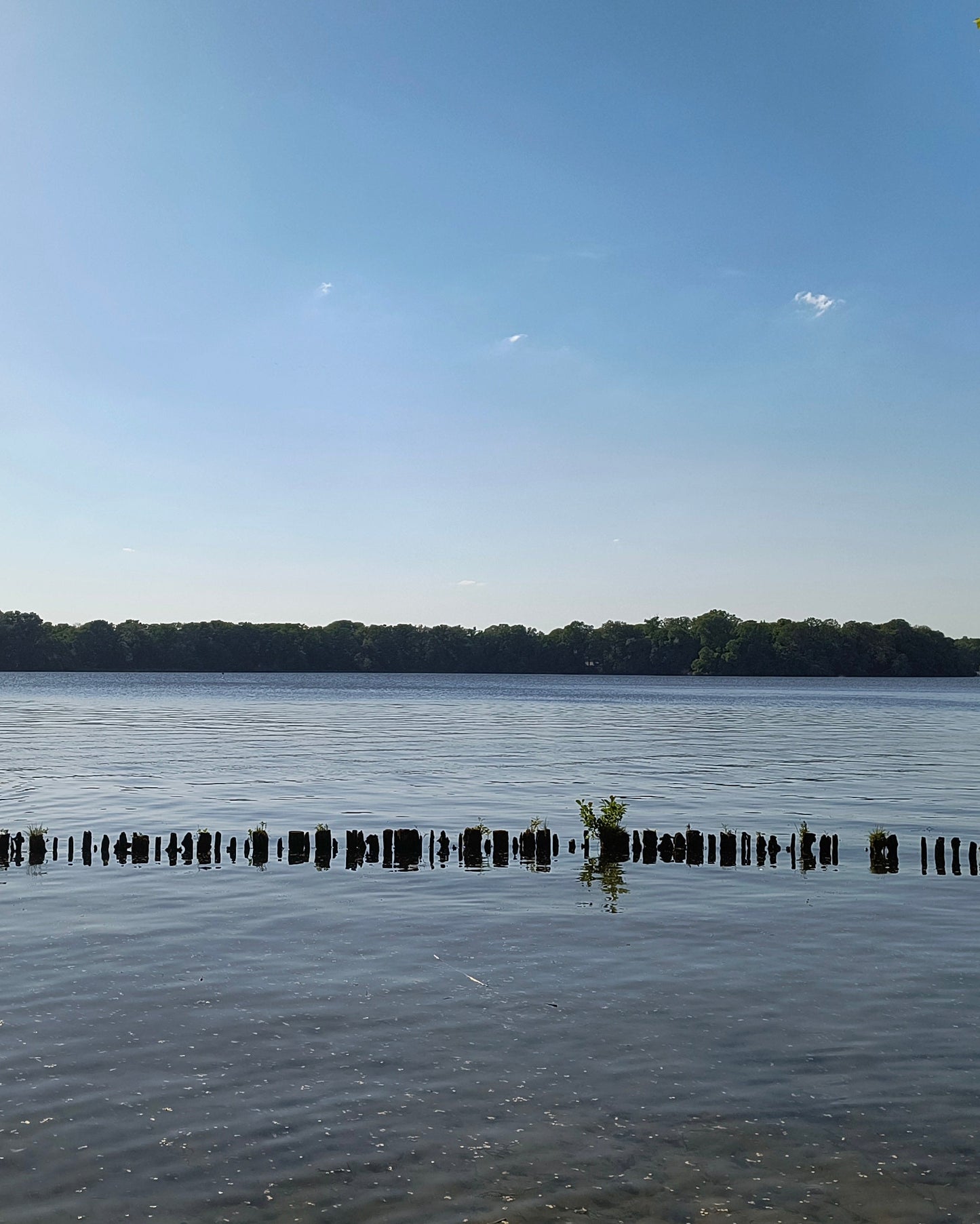 Postkarte: Tegeler See