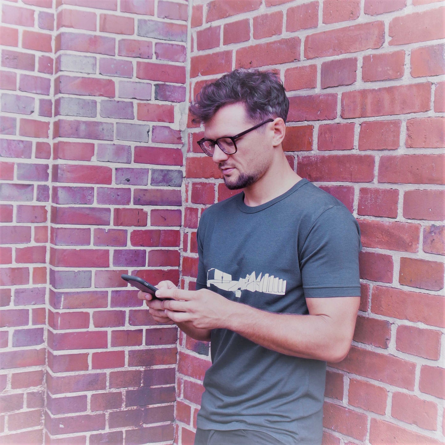 T-shirt cultural buildings 