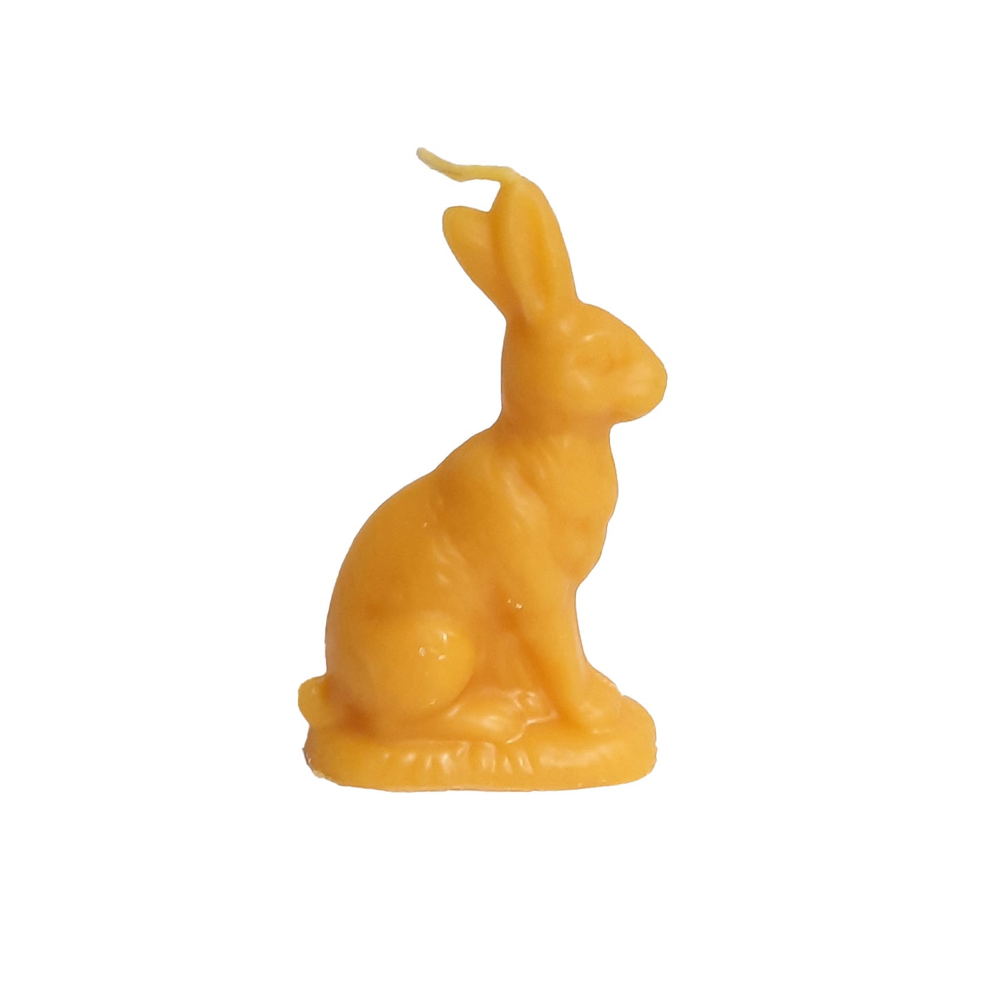 Berlin Easter Bundle